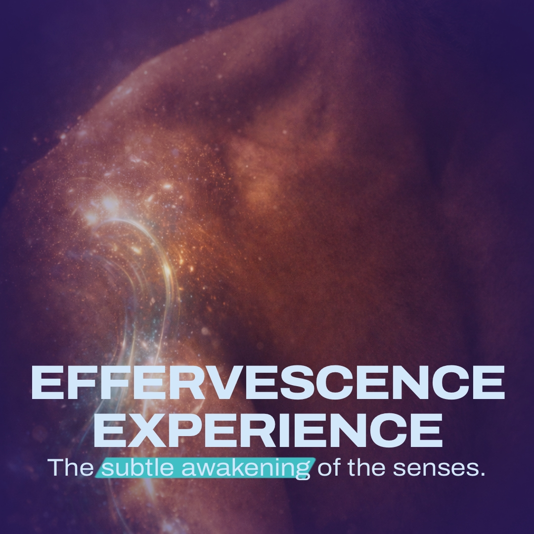 Effervescence experience near Lyon